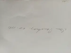 Pjeroo Roobjee - Pollak slips out kopen? Bied vanaf 30!