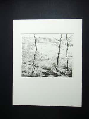 Reinder Homan - DRIE DENNEN verkocht voor € 70!