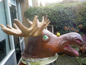 Curiosa - Grote Elandenkop kopen? Bied vanaf 99!