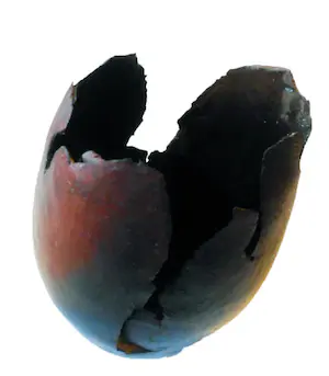 Bert Witte - Het gevoel van vazen kopen? Bied vanaf 75!