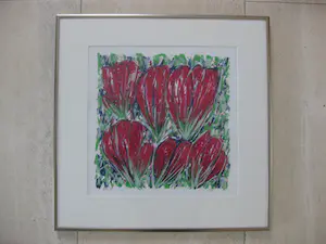 Ad van Hassel - Tulpen donker rood kopen? Bied vanaf 1!