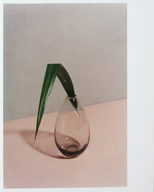 Ellen Mandemaker - Foto, Vaasje kopen? Bied vanaf 100!