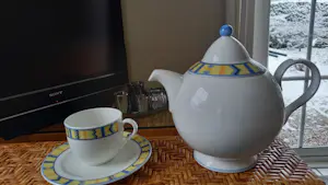 Villeroy en Boch - Servies Bali Look kopen? Bied vanaf 95!