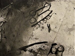 Jo Manders - Jaren 60 Illusionistisch realisme - Grote "Insecten" Sepia tekening - gesigneerd kopen? Bied vanaf 20!