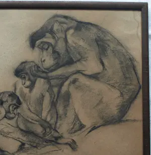 Tini van Doornik - Ingelijste houtskooltekening , Drie apen – 1930 – Lijst, 41½ x 57½ cm. kopen? Bied vanaf 100!