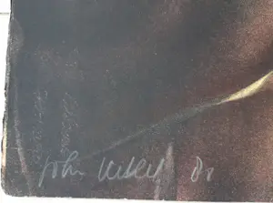 John Verberk - Op de Wallen kopen? Bied vanaf 45!