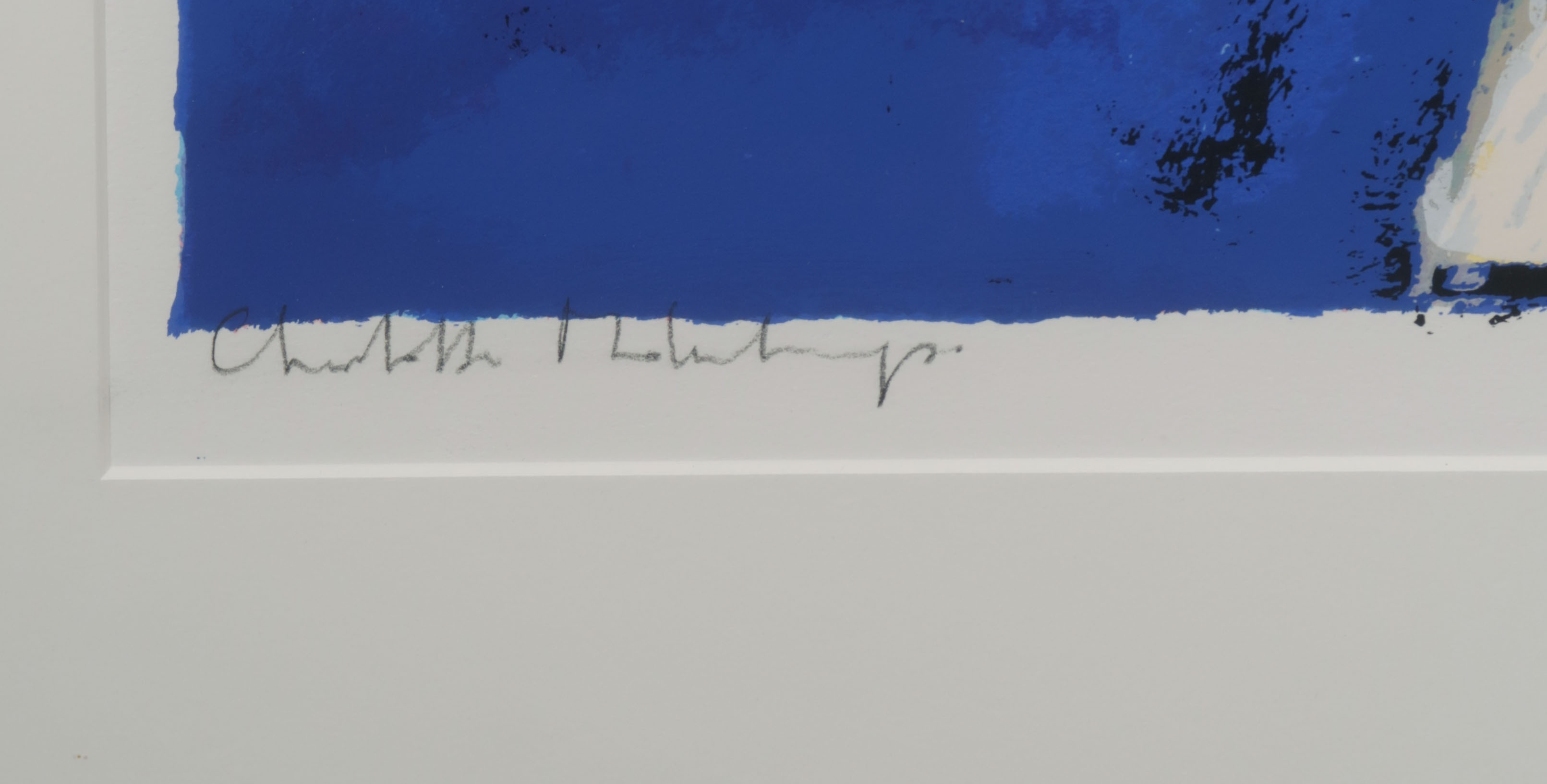 Charlotte Molenkamp - Vogel in blauw - Ingelijst (Groot) kopen? Bied vanaf 80!