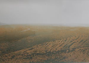 Elmar Gille - Campo kopen? Bied vanaf 50!