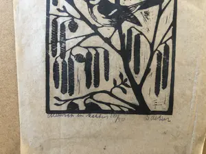 Jac. de Beer - Koolmees met katjes kopen? Bied vanaf 1!