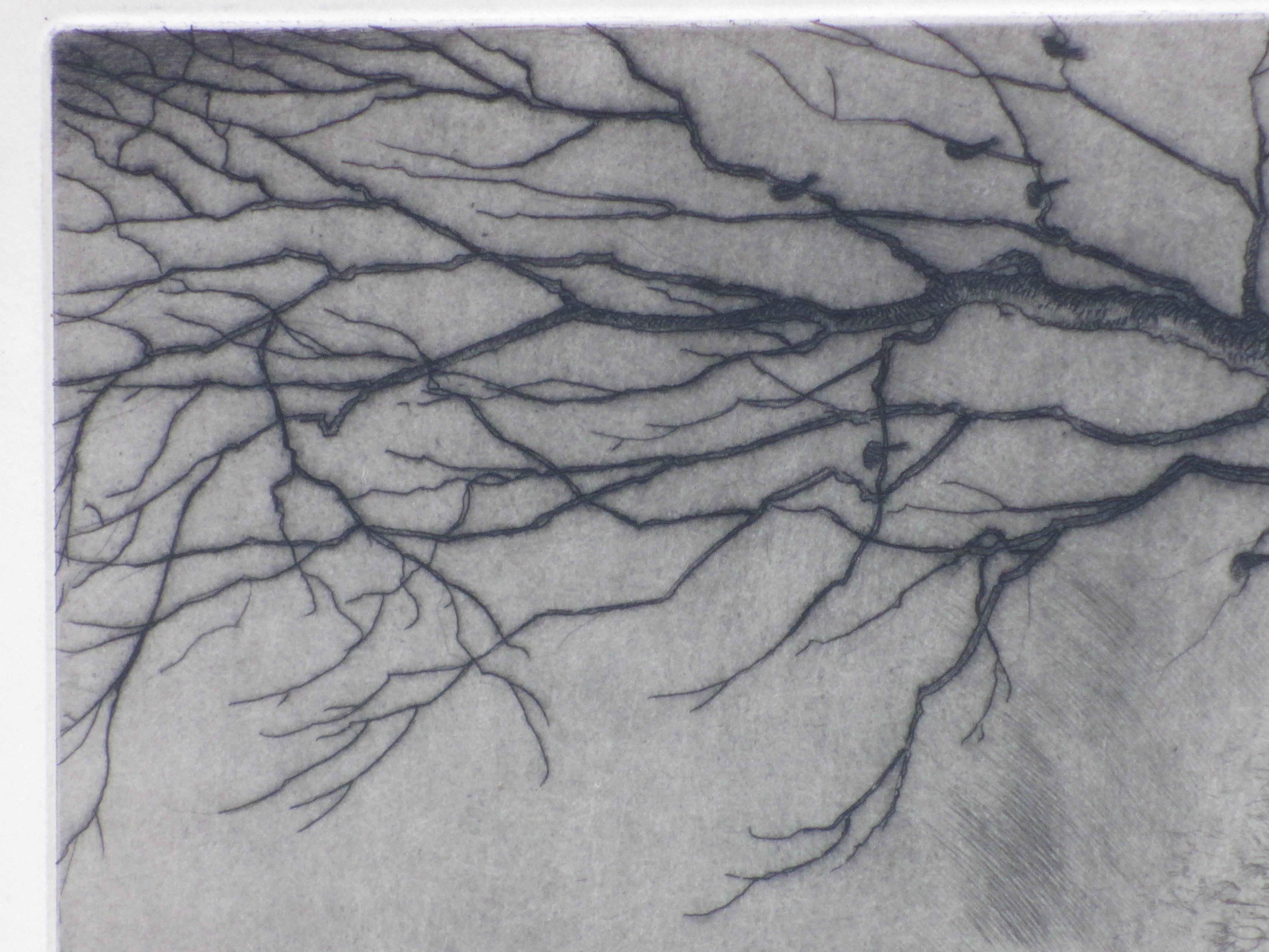 Hans van Dokkum - Burchthuis in de sneeuw -Ets kopen? Bied vanaf 35!