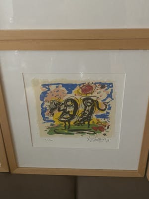 Kees Salentijn - 2 koeien kopen? Bied vanaf 55!