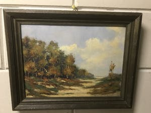 Anton Jakma - Landschap op de Hoge Veluwe kopen? Bied vanaf 50!