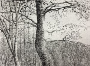 Charles Donker - ets - Noordoostenwind - definitieve, 3e staat - 1984 kopen? Bied vanaf 350!