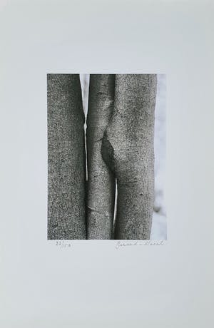 Gerard van Soest - foto - 2005 kopen? Bied vanaf 35!