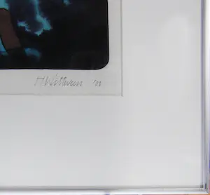 Hollie Witteveen - Nachtvlucht kopen? Bied vanaf 25!