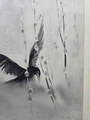 Han van Meegeren - Aalscholver. Zwarte vogel. kopen? Bied vanaf 59!