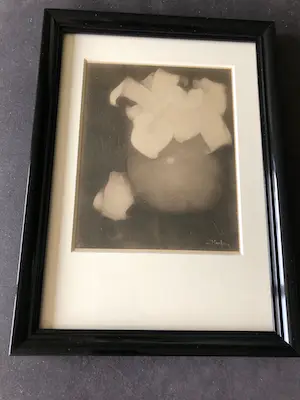 Jan Mankes - Heliogravure " Aronskelken" kopen? Bied vanaf 1!