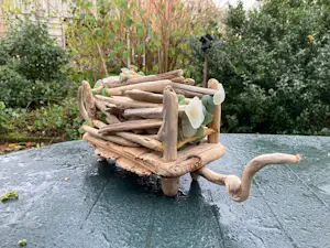 Ton Paauw - onbekend kopen? Bied vanaf 25!