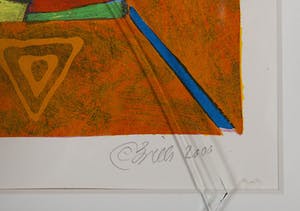 Clemens Briels - (titel onbekend) - 2000 - kleurenlitho op papier kopen? Bied vanaf 20!