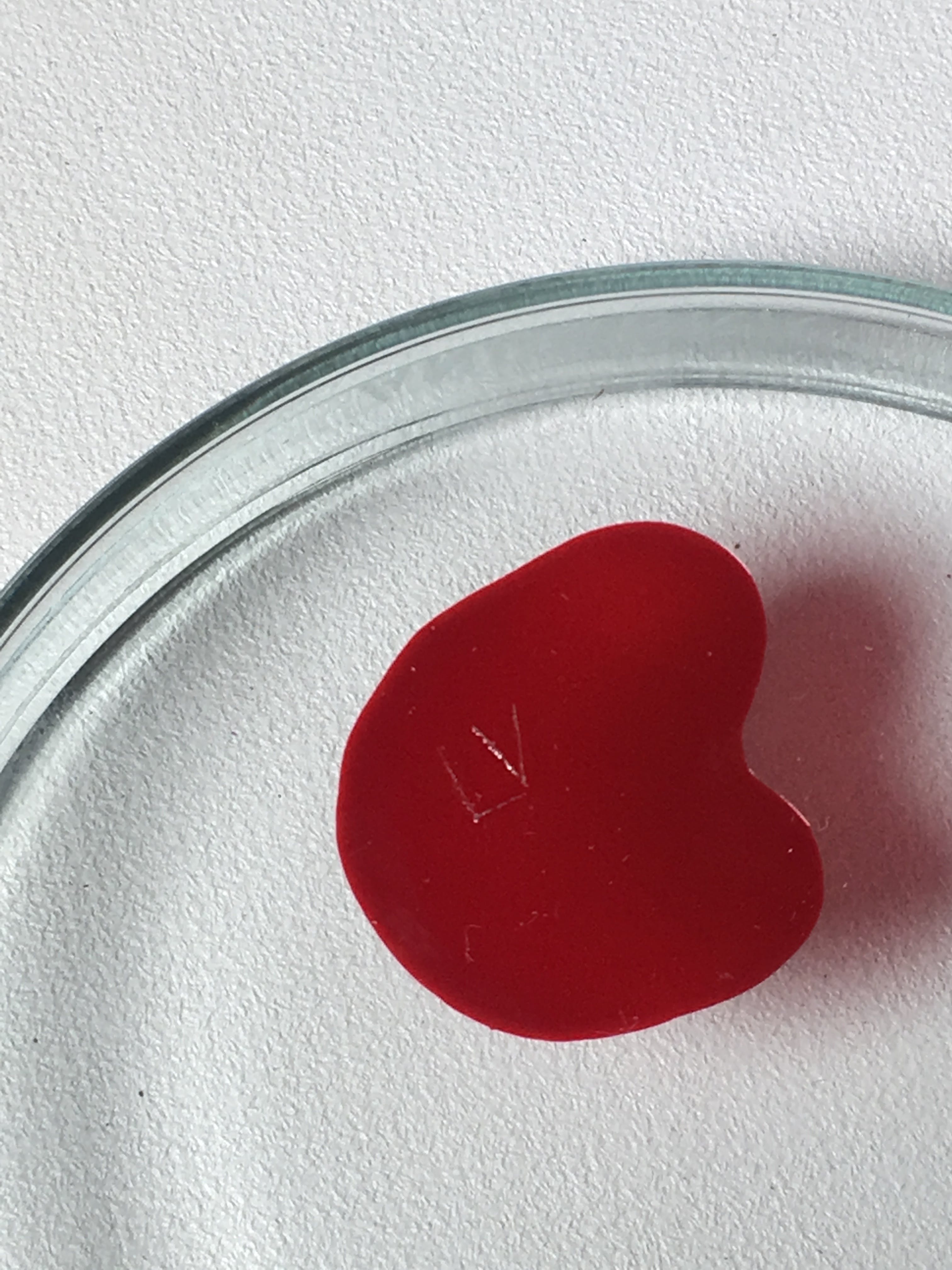 Lisette Verkerk - Beschilderd petrischaaltje, Origins kopen? Bied vanaf 1!