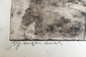 Jan Montyn - De Vogels kopen? Bied vanaf 150!
