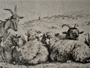 Niet of onleesbaar gesigneerd - Magnifieke 17e eeuwse (1680) Ets "Schappen en Bokken" niet ingelijst kopen? Bied vanaf 1!