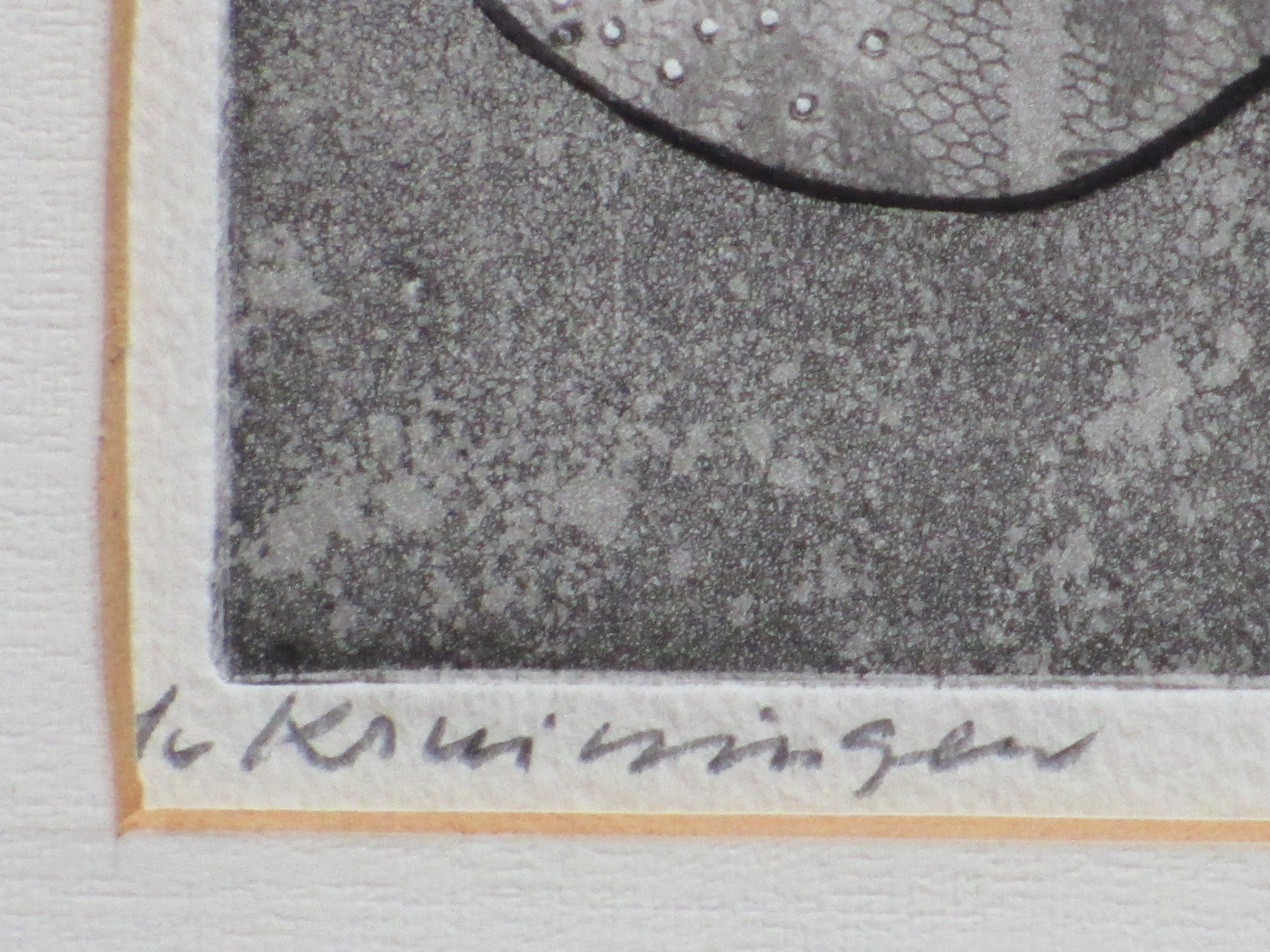 Harry van Kruiningen - Amoebe - Kleurets kopen? Bied vanaf 100!