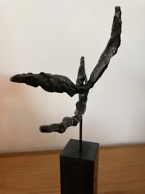 Corry Ammerlaan - Icarus zeldzaam kopen? Bied vanaf 129!