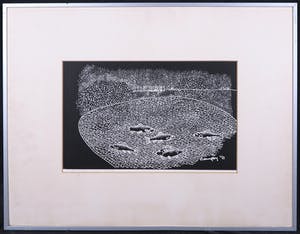 Niet of onleesbaar gesigneerd - Litho, Vis Vijver - Ingelijst kopen? Bied vanaf 1!