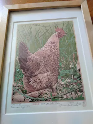 Siemen Dijkstra - Het laatste hoen kopen? Bied vanaf 350!