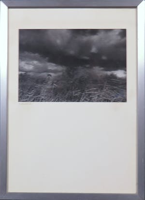 Jan van den Berg - Cees Nooteboom en onbekend - Boek Rollende stenen en foto Kinderdijk kopen? Bied vanaf 10!