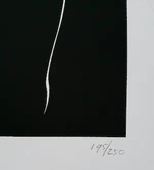 Harry van Kuyk - Contour, zeefdruk kopen? Bied vanaf 50!