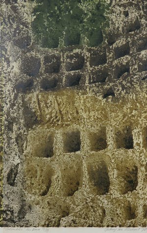 Antony van Lieshout - Litho, Columbier les baux - Ingelijst kopen? Bied vanaf 35!