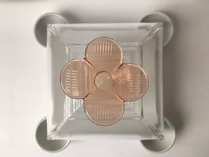Borek Sipek - schaal met deksel - glas en porselein kopen? Bied vanaf 79!