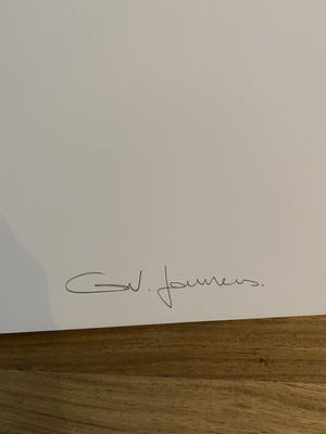 Ann Veronica Janssens - Gesigneerde Print kopen? Bied vanaf 45!