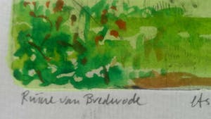 Ruud Cornelisse - Ruïne van Brederode kopen? Bied vanaf 14!