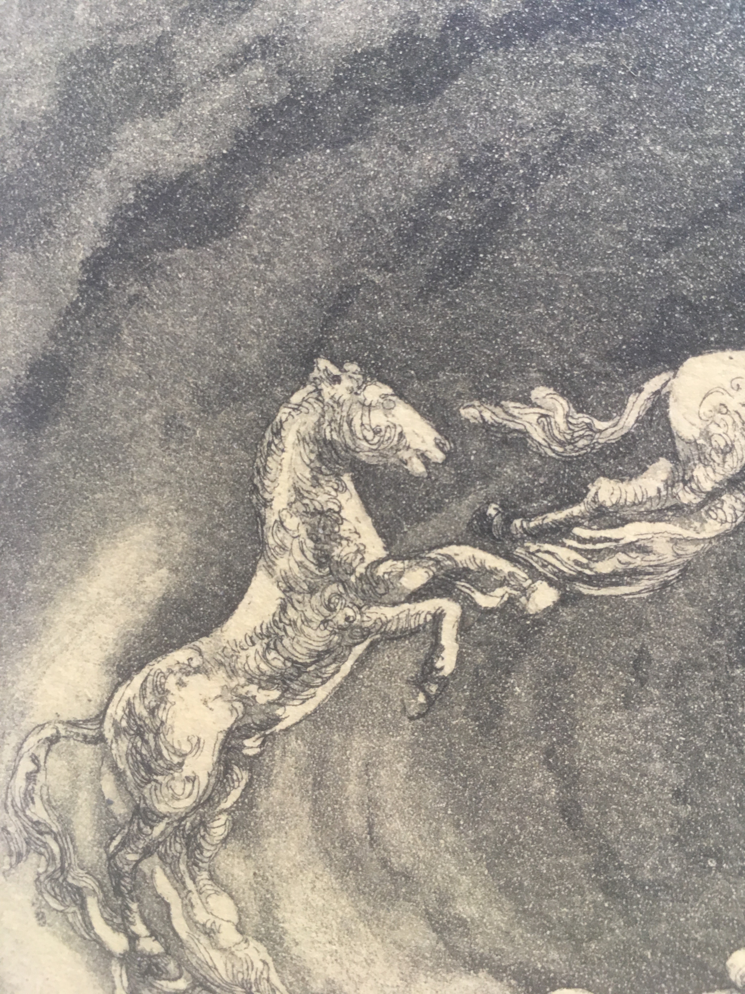 Niet of onleesbaar gesigneerd - Ets met paarden hemelvaart kopen? Bied vanaf 1!