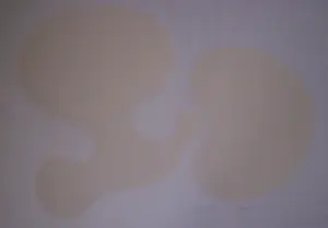 Huub & Adelheid Kortekaas - Vogelhart. kopen? Bied vanaf 50!