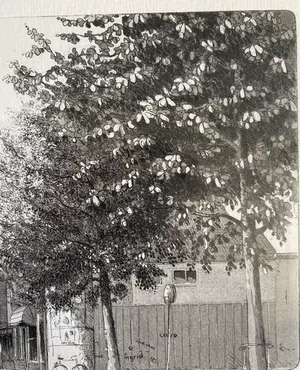 Wim Bettenhausen - Dorpsstraat Zoetermeer kopen? Bied vanaf 25!