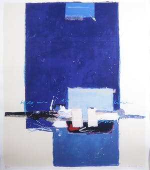 Ron van der Werf - Lithografie, Mysterie I - Ingelijst kopen? Bied vanaf 1!