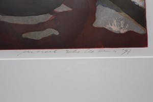 Marcel Schellekens - Marcel Schellekens - kleurenets: Vissenkom - 1997(nette lijst) kopen? Bied vanaf 150!
