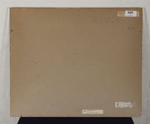 Sijpko Wijk - De boom in het centrum - 1977 - stift op papier - BKR Den Haag kopen? Bied vanaf 20!