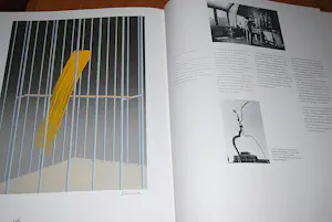 Jeroen Henneman - Uit het leven der dingen: een kanarie - zeefdruk - mooi ingelijst kopen? Bied vanaf 150!