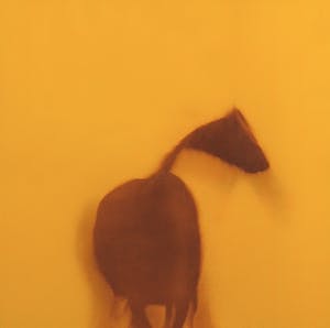 Paul Huf - C-Print, Gele paard - Ingelijst kopen? Bied vanaf 1!