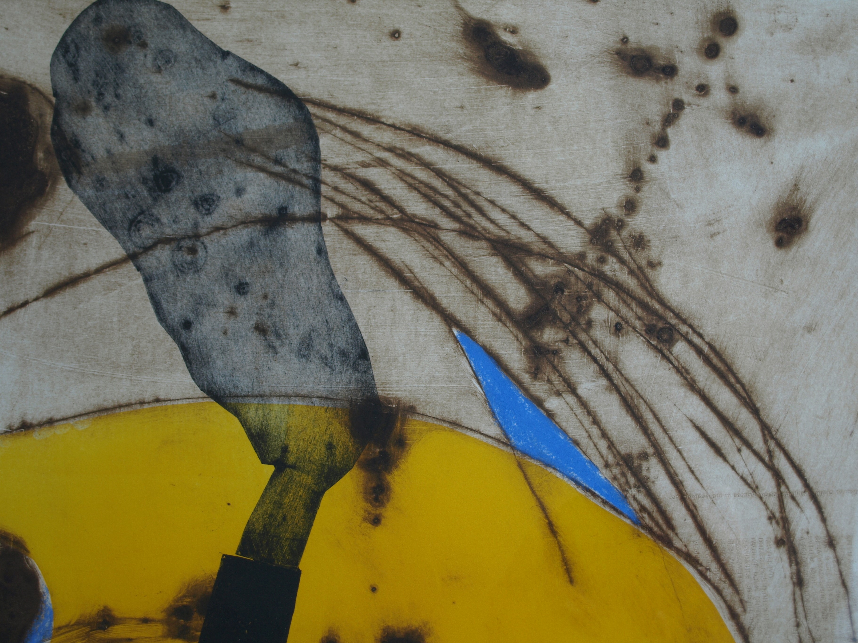 Anneke van der Mandele - Ets , Compositie met Geel - gesigneerd & ingelijst - 1995 kopen? Bied vanaf 45!