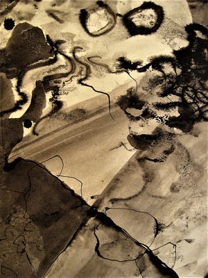 Jo Manders - Jaren 60 Illusionistisch realisme - Grote "Insecten" Sepia tekening - gesigneerd kopen? Bied vanaf 15!