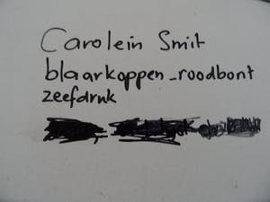 Carolein Smit - Carolien Smit kopen? Bied vanaf 100!