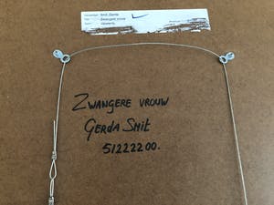 Gerda Smit - Zwangere vrouw kopen? Bied vanaf 250!