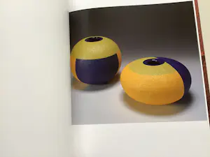 Mieke Groot - Behind Glass - boekwerk kopen? Bied vanaf 35!