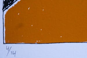 Petra Dolleman - "DUBBELZINNIG" kopen? Bied vanaf 15!